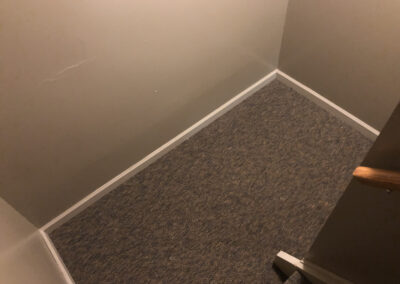 Davis Water Damage
