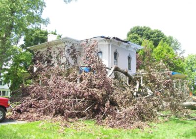 Struck and Sons | Kemp Property | Structural Damage