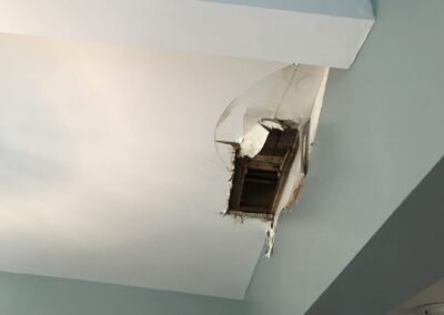 Struck and Sons | Monte Property | Water Damage