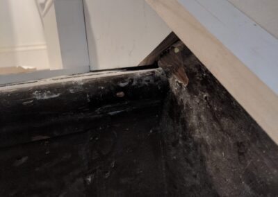 Struck and Sons | Pantaleo Property | Fire Damage