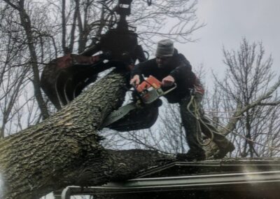 Struck and Sons | Shuttleworth Property structural damage